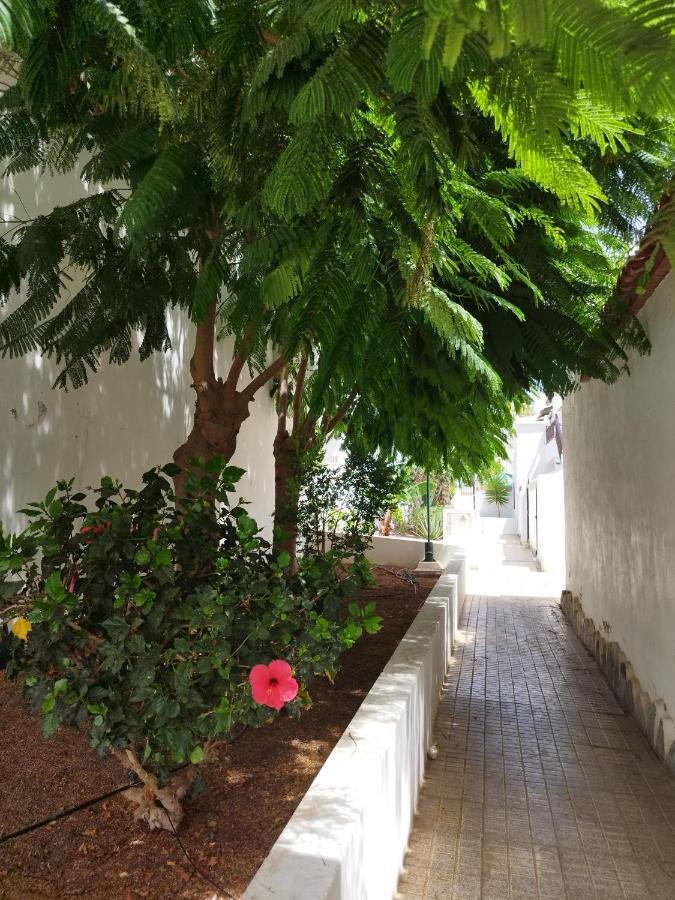 아로나 Casa De Maria Luisa 아파트 외부 사진