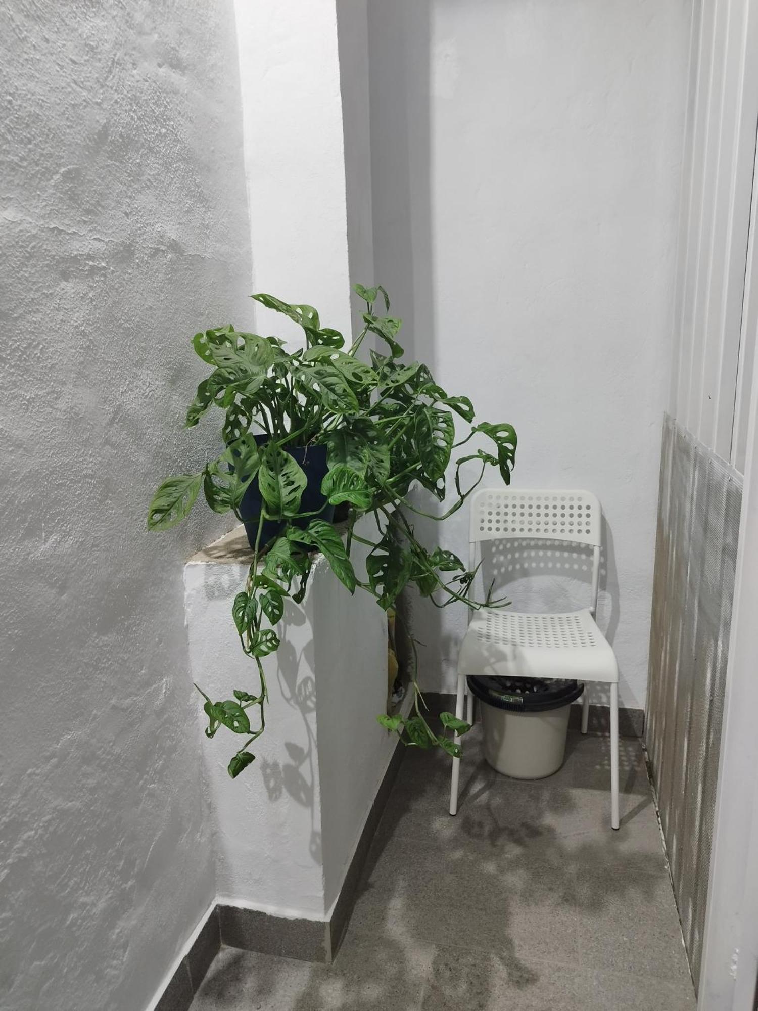 아로나 Casa De Maria Luisa 아파트 외부 사진