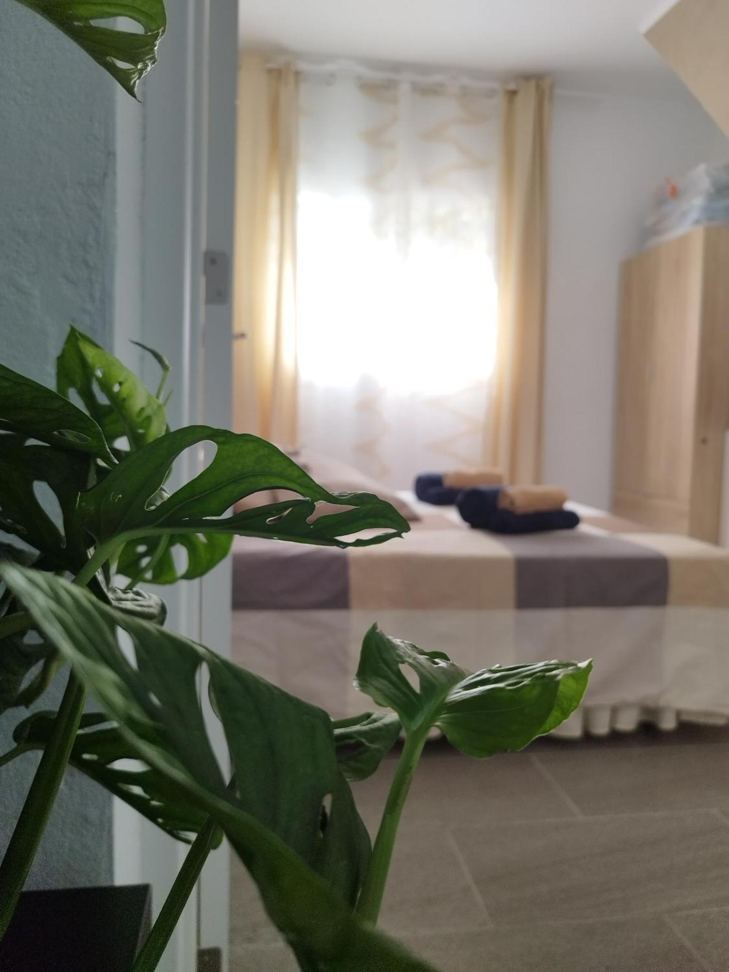 아로나 Casa De Maria Luisa 아파트 외부 사진